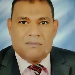 أستاذ / أحمد خليل