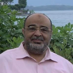 الاستاذ الدكتور صلاح عبد ربه